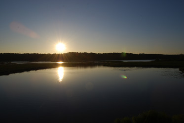 Similar image 21424795