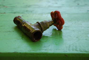 Similar image 21425092