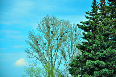 Similar image 21425576