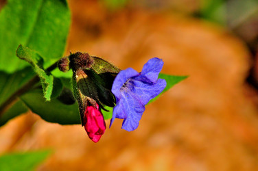 Similar image 21425577