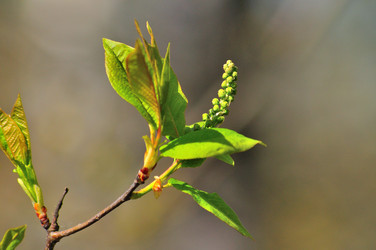 Similar image 21425578