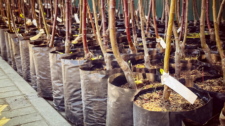 Similar image 21425579