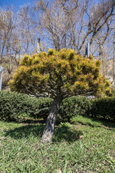 Similar image 21424806