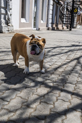 Similar image 21424807