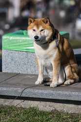 Similar image 21423573