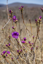 Similar image 21426263