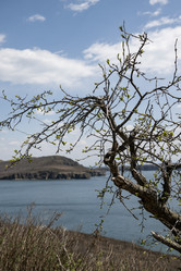 Similar image 21426264