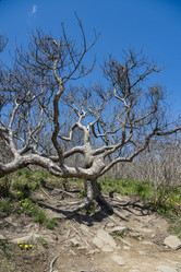 Similar image 21423574