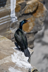 Similar image 21423578