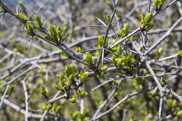 Similar image 21424820