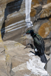 Similar image 21423854