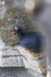 Similar image 21423579