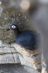 Similar image 21423580