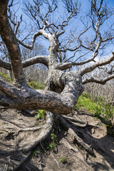 Similar image 21423581