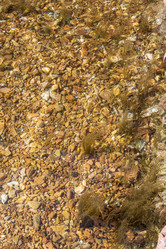 Similar image 21424821