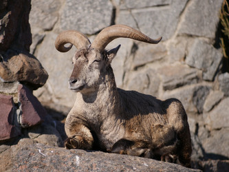 Similar image 21425299