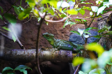 Similar image 21425300