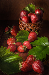 Similar image 21423990