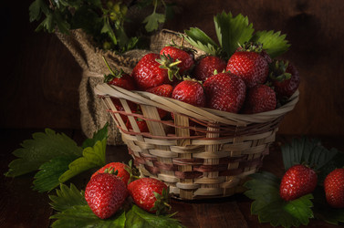 Similar image 21423991