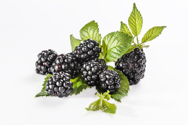 Similar image 21423994