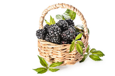 Similar image 21423995