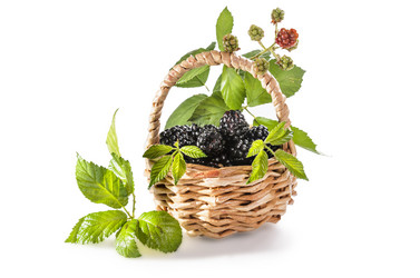 Similar image 21423996