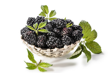 Similar image 21423997