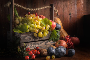 Similar image 21424001