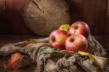 Similar image 21424007