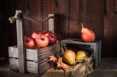 Similar image 21424011