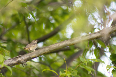 Similar image 21425114