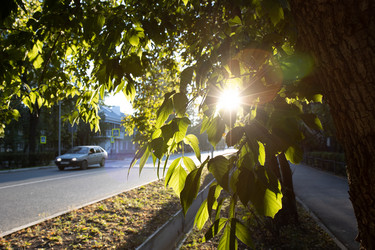 Similar image 21425116