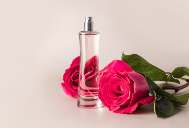 Similar image 21423611