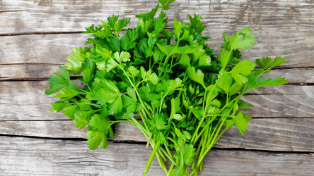 Similar image 21423856