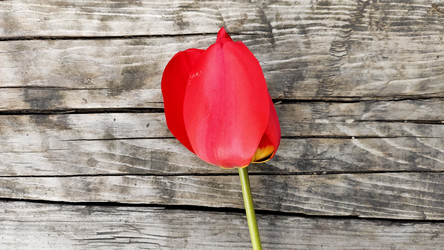 Similar image 21423858