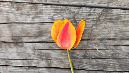 Similar image 21423859