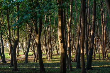 Similar image 21430820