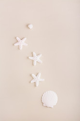 Similar image 21423660