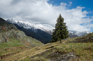 Similar image 21425814