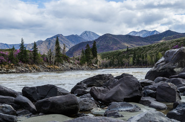 Similar image 21425815