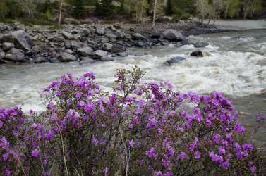 Similar image 21425816