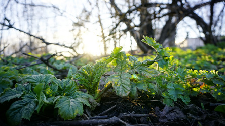 Similar image 21426200