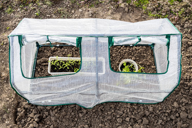 Similar image 21423676