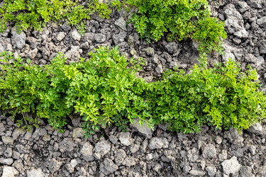 Similar image 21423680