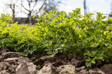 Similar image 21423681