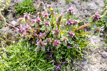 Similar image 21423682