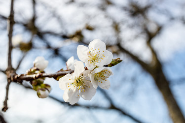 Similar image 21423684