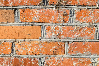 Similar image 21423685