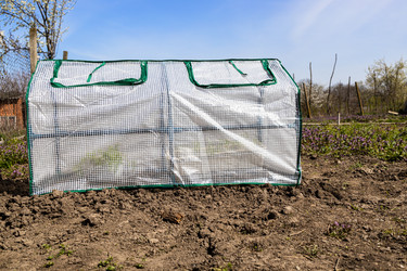 Similar image 21423688