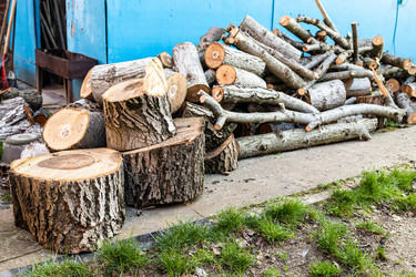 Similar image 21423704